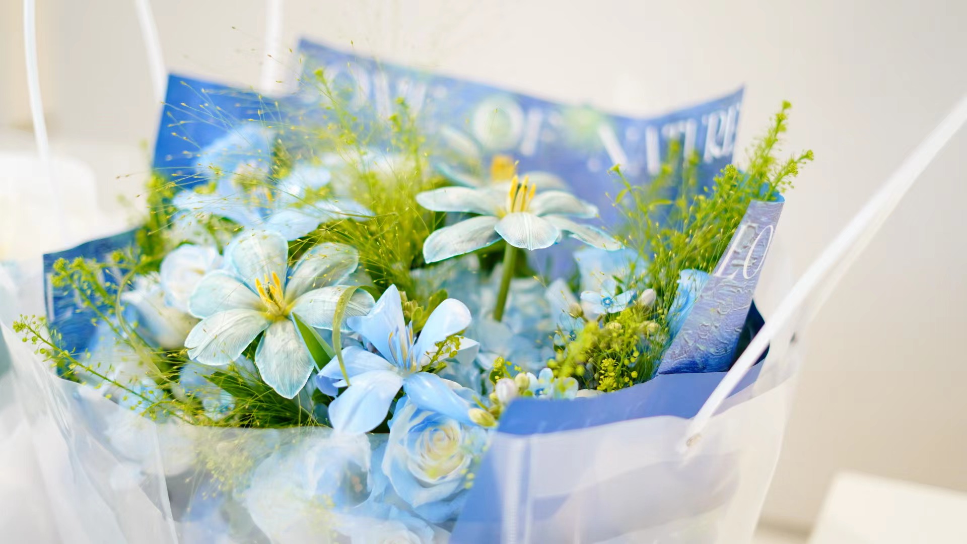 1662019904160364.jpg 1662019904160364.jpg